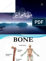 Bone2