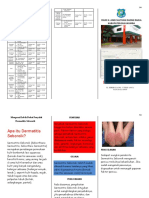 54 Dermatitis Seboroid