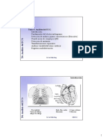 Mib PDB T6