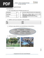 Teste Diagnóstico - HGP