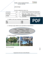 Teste Diagnóstico - HGP