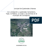 ANEXO 2 Informe Municipal de Quebradas Urbanas Concepcion