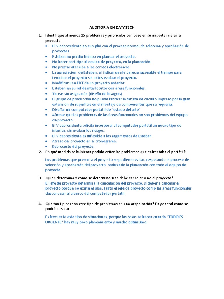 Auditoria en Datatech | PDF