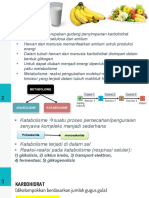 Biokim Katabolisme Karbohidrat