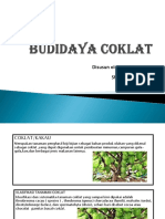 BUDIDAYA_COKLAT_andil
