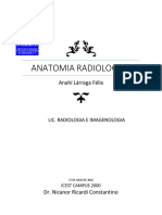 Anatomia