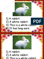 1) A Rabbit. 2) A White Rabbit. 3) This Is A White Rabbit. 4) It Has Long Ears