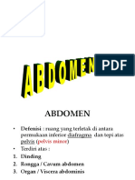 Dinding Abdomen