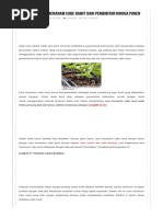 Download 7 Langkah Cara Menanam Cabe Rawit Hingga Panenpdf by Fikram Upate SN359670539 doc pdf