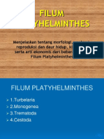 01-Platyhelminthes.ppt