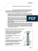 Apunte cm1 PDF
