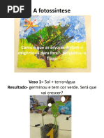 A Fotossíntese