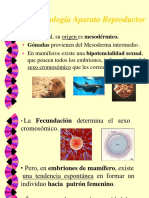 Embriología Del Aparato Reproductor