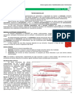 Histologia Tecido Muscular