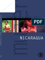 FAO2007MujeresRurales de Nicaragua