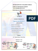 Diabetes Mellitus Tipo II PDF