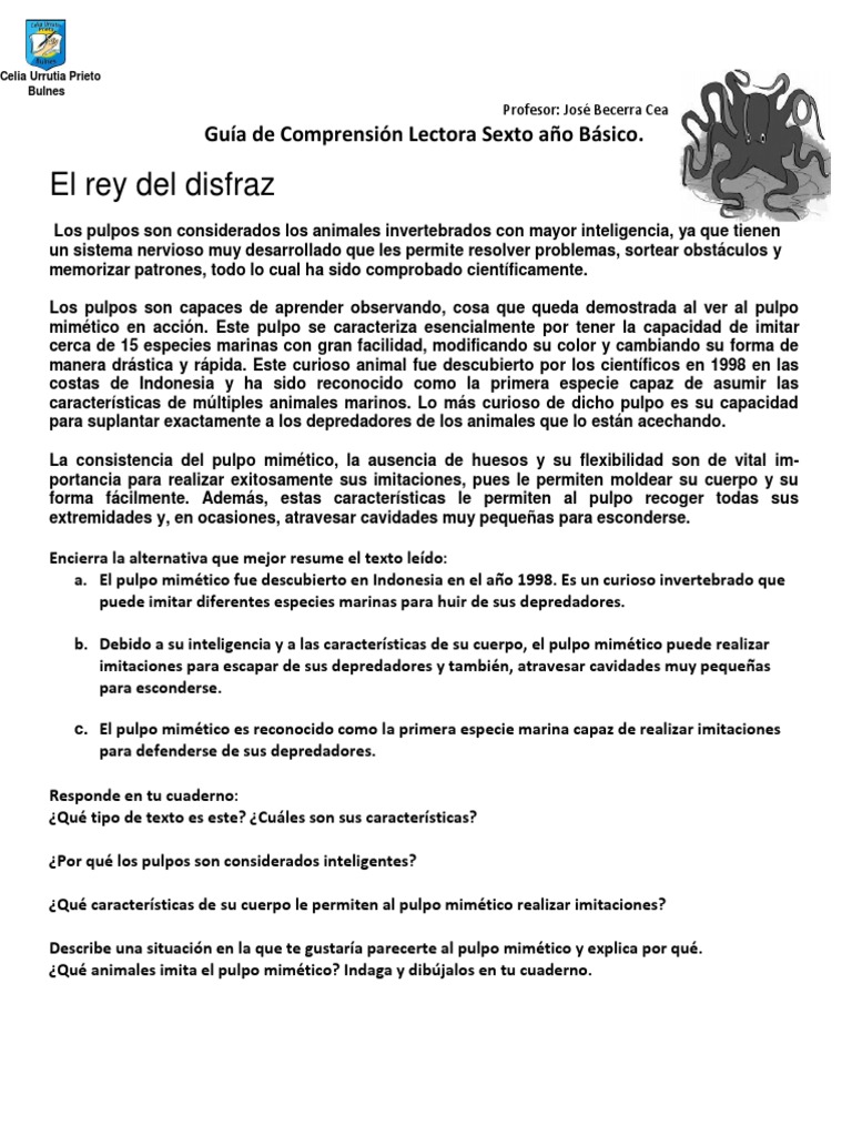 Guía de Comprensión Lectora Sexto Año Básico PDF Pulpo