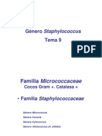 estafilococos 2.docx