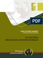 Los Recursos Procesales Constitucionales.