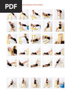 Lebert Equalizer Exercise Gallery PDF