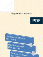 Anfis - Siklus Reproduksi Wanita