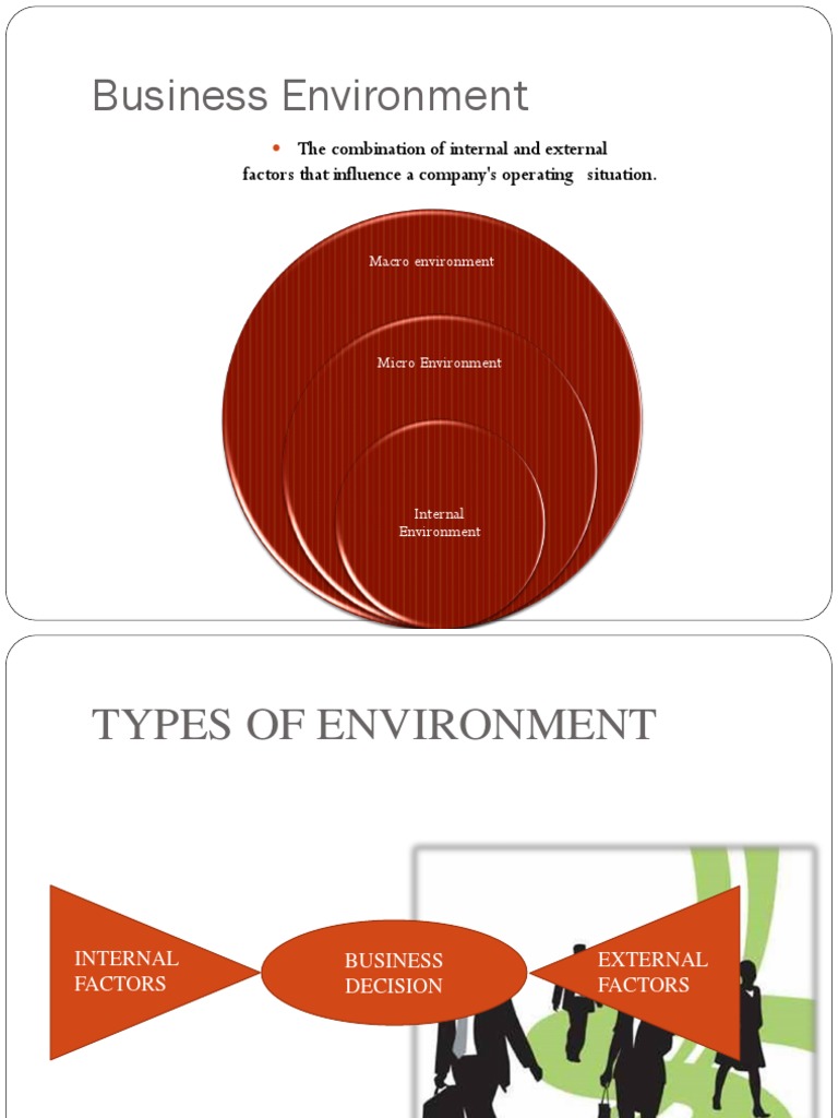 Domestic Dimensions of Business Environment PDF Economic System