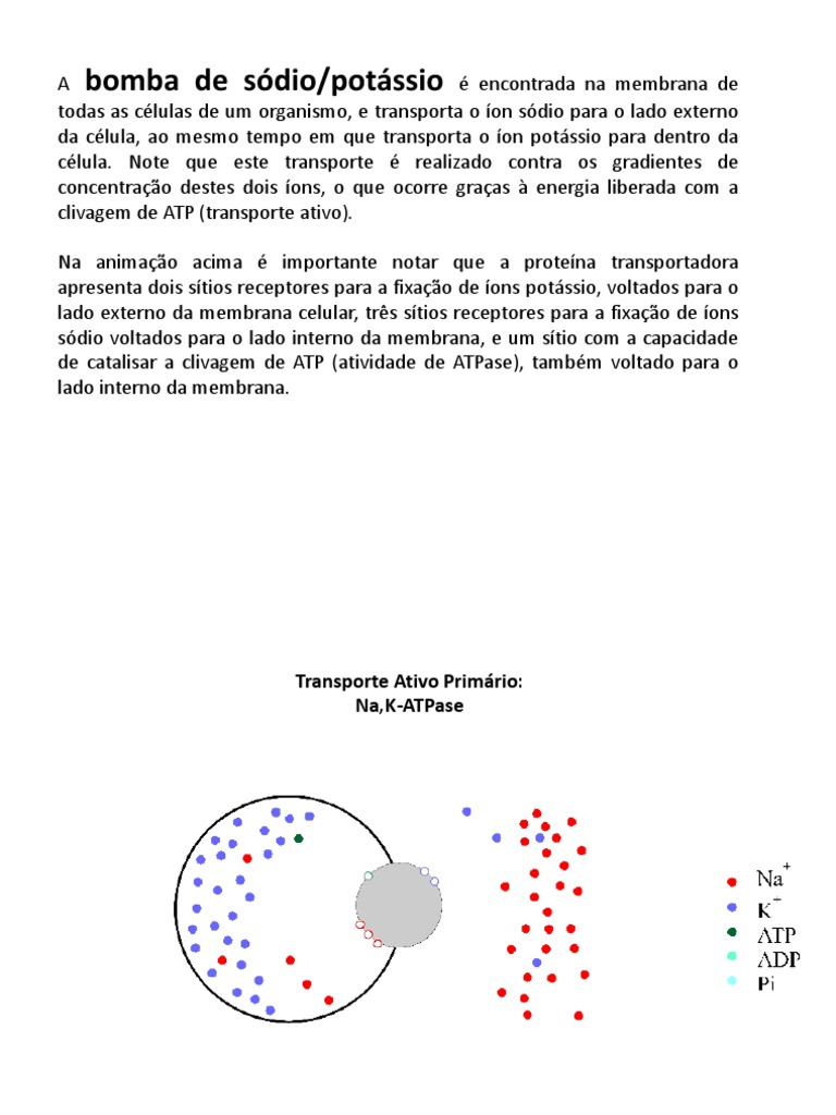 Mecanismos de Transporte Ativo Celular | PDF | Membrana celular | Biofísica, image size:768x1024