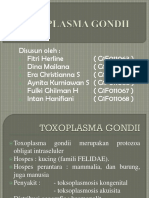 167196424-ppt-TOXOPLASMA-GONDII.pptx