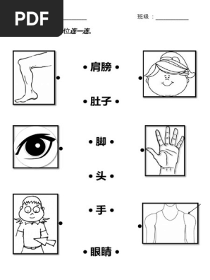 健康教育 身体部位 一年级 Pdf