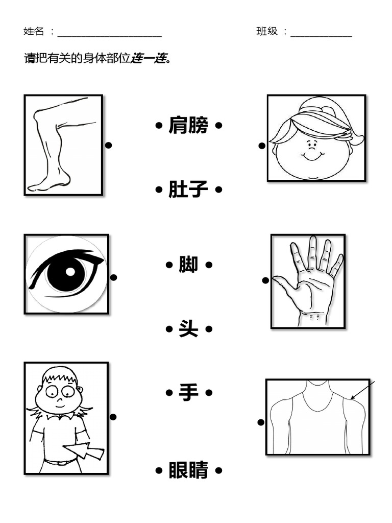 健康教育 身体部位 一年级 Pdf