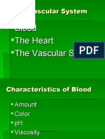 Cardiovascular System