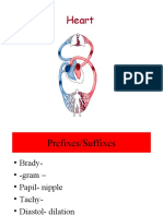 Cardiovascular System6