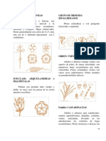 1606091437.DICOTILEDONEAS  Parte -I -.pdf