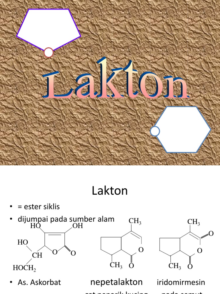 Lakton, Laktam, Amida | PDF