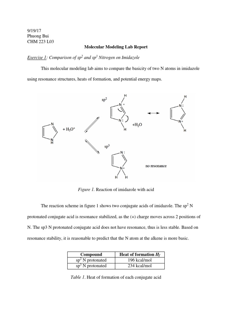 molecular modeling lab report .docx
