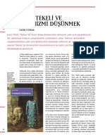 Sirin Tekeli Ve Feminizmi Dusunmek PDF
