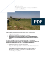 Agroecosistema, Irrigacion San Camilo, Informe