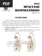 346507079-043-Musculos-Da-Respiracao-2.pdf