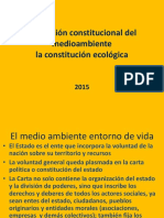 02n Proteccion Constitucional Del Ma 2017