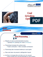 Coal Grinding Option