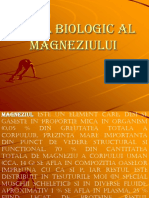 Rolul biologic al Magneziului.ppt