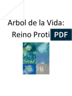 Arbol de La Vida Protistas