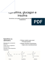 Insulina e Glucagon Ciclo Alimentado e Jejum Alunos