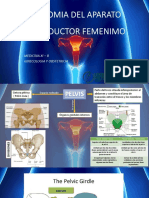 ANATOMIA DEL APARATO REPRODUCTOR FEMENIMO JEAN PIERRE.pptx