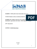 Elección de La Organización, Descripción, Generación de Matriz IPER, Mapa de Riesgos