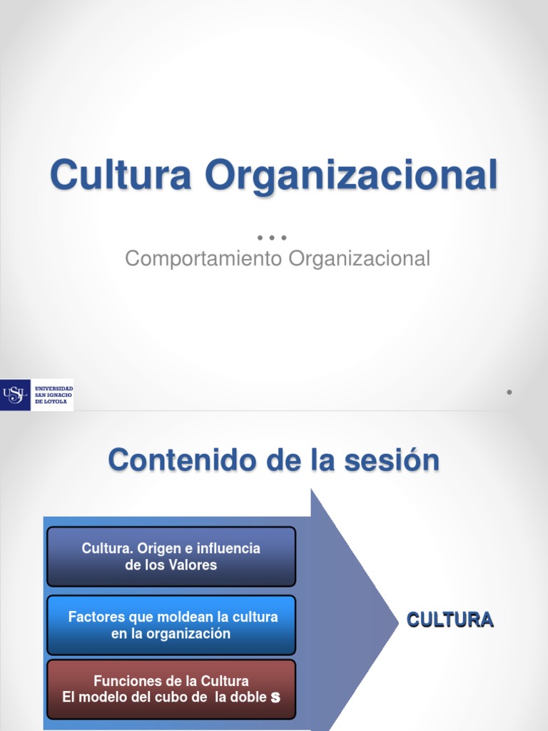 Origen y diagnóstico de la cultura organizacional | PDF | Cultura ...