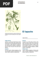 Lapacho PDF