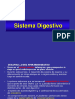 sist._digestivo.veterinaria_i.ppt