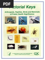 Pictorial Key of Animal Publich Health PDF