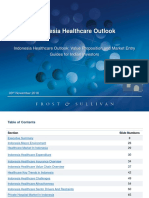 Indonesia Healthcare Outlook Nov 16 PDF